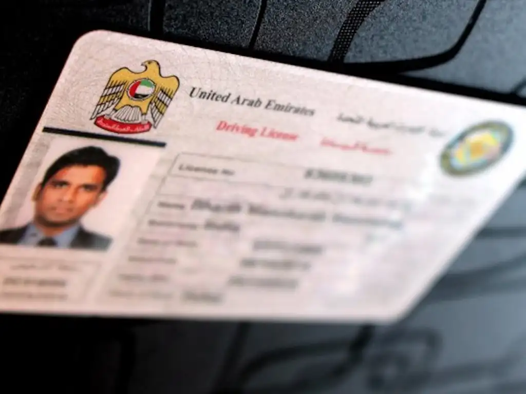 Driver in United Arab Emirates 3